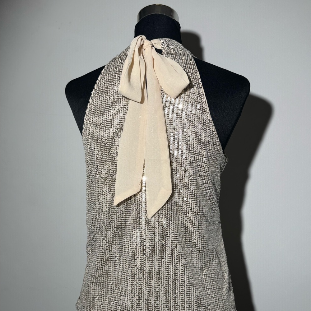 Cupid Blush Silver Sequin Top Small